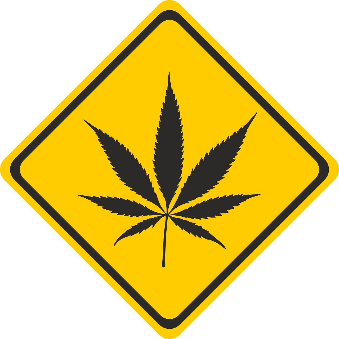 Cannabis